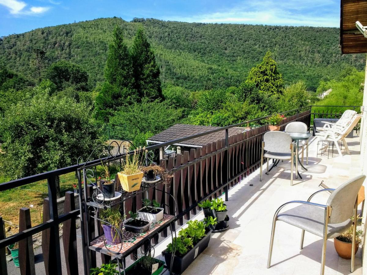 Les Ecureuils Bed & Breakfast Revin  Exterior photo